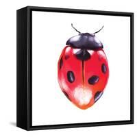 Buggin Out IV-Larisa Hernandez-Framed Stretched Canvas