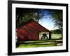 Buggy in the Red Barn-Jody Miller-Framed Photographic Print