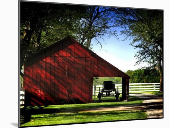Buggy in the Red Barn-Jody Miller-Mounted Photographic Print