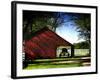 Buggy in the Red Barn-Jody Miller-Framed Photographic Print