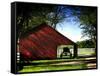 Buggy in the Red Barn-Jody Miller-Framed Stretched Canvas