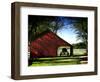 Buggy in the Red Barn-Jody Miller-Framed Photographic Print