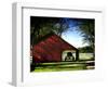 Buggy in the Red Barn-Jody Miller-Framed Photographic Print