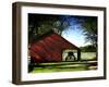 Buggy in the Red Barn-Jody Miller-Framed Premium Photographic Print