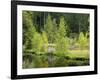 Buhlbachsee, Blackforest National Park, Baden-Wurttemberg, Germany-Michael Jaeschke-Framed Photographic Print