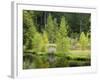 Buhlbachsee, Blackforest National Park, Baden-Wurttemberg, Germany-Michael Jaeschke-Framed Photographic Print