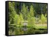 Buhlbachsee, Blackforest National Park, Baden-Wurttemberg, Germany-Michael Jaeschke-Framed Stretched Canvas