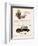 Buick, Magazine Advertisement, USA, 1929-null-Framed Giclee Print