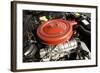 Buick Riviera 1963-Simon Clay-Framed Photographic Print