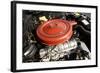 Buick Riviera 1963-Simon Clay-Framed Photographic Print