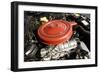 Buick Riviera 1963-Simon Clay-Framed Photographic Print