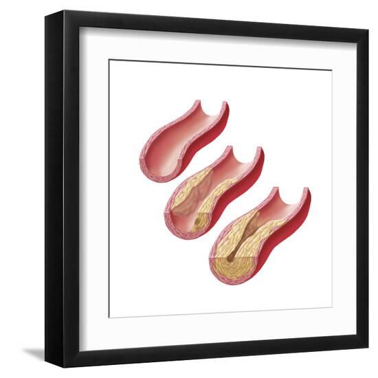 Art Print, , large