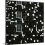 Building, 1971-Brett Weston-Mounted Photographic Print