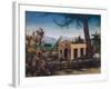 Building a House in Spain, Cactus, 1953-Bettina Shaw-Lawrence-Framed Giclee Print
