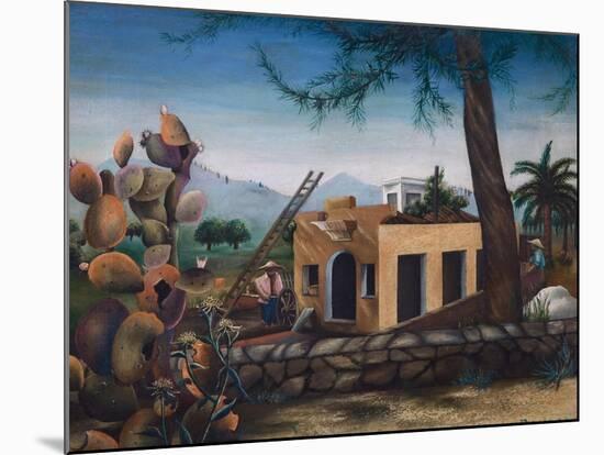 Building a House in Spain, Cactus, 1953-Bettina Shaw-Lawrence-Mounted Giclee Print