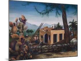 Building a House in Spain, Cactus, 1953-Bettina Shaw-Lawrence-Mounted Giclee Print