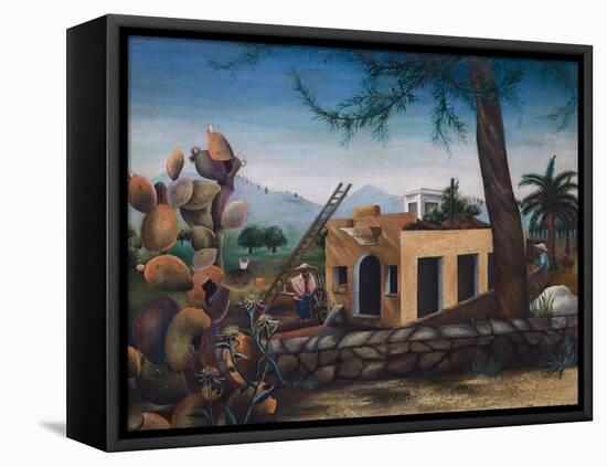 Building a House in Spain, Cactus, 1953-Bettina Shaw-Lawrence-Framed Stretched Canvas