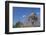 Building a Hut, Gourague Area, Shoa Province, Ethiopia, Africa-Bruno Barbier-Framed Premium Photographic Print