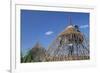 Building a Hut, Gourague Area, Shoa Province, Ethiopia, Africa-Bruno Barbier-Framed Photographic Print