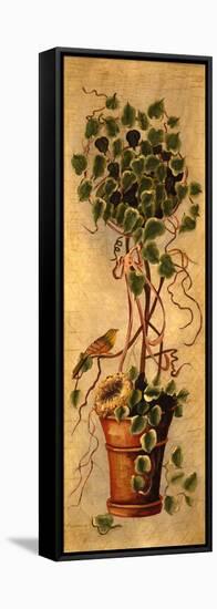 Building a Nest I-John Richard-Framed Stretched Canvas