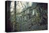 Building and remains of a bunker at a mountain in a wood in winter in Alsace-Axel Killian-Stretched Canvas