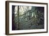 Building and remains of a bunker at a mountain in a wood in winter in Alsace-Axel Killian-Framed Photographic Print