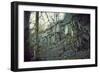 Building and remains of a bunker at a mountain in a wood in winter in Alsace-Axel Killian-Framed Photographic Print