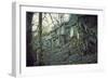 Building and remains of a bunker at a mountain in a wood in winter in Alsace-Axel Killian-Framed Photographic Print