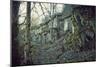 Building and remains of a bunker at a mountain in a wood in winter in Alsace-Axel Killian-Mounted Photographic Print