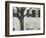 Building and Tree, c. 1945-Brett Weston-Framed Photographic Print