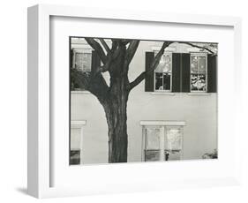 Building and Tree, c. 1945-Brett Weston-Framed Photographic Print