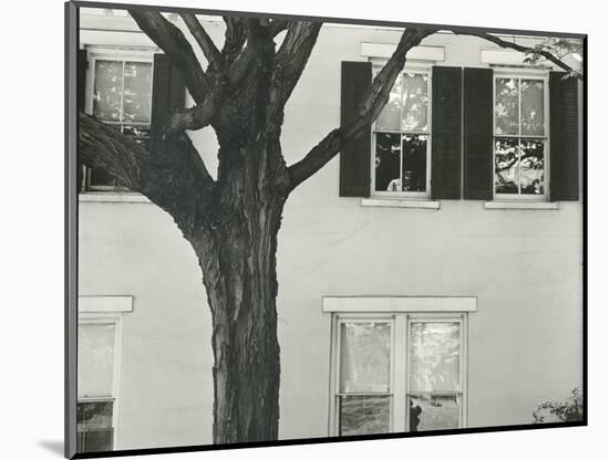 Building and Tree, c. 1945-Brett Weston-Mounted Photographic Print