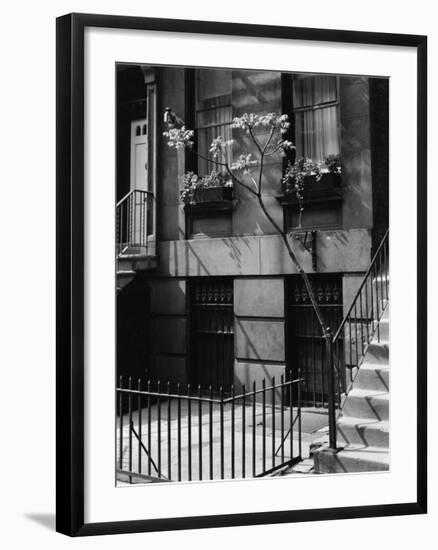 Building and Tree, New York, 1944-Brett Weston-Framed Photographic Print