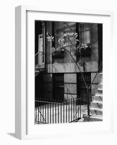 Building and Tree, New York, 1944-Brett Weston-Framed Photographic Print