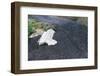 Building Buried by Lava-null-Framed Photographic Print