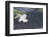 Building Buried by Lava-null-Framed Photographic Print