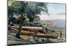 Building Canoes, Andaman and Nicobar Islands, Indian Ocean, C1890-Gillot-Mounted Giclee Print