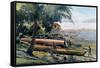 Building Canoes, Andaman and Nicobar Islands, Indian Ocean, C1890-Gillot-Framed Stretched Canvas