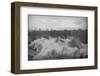 Building Complex falling amidst Dust-null-Framed Photographic Print