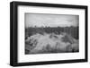 Building Complex falling amidst Dust-null-Framed Photographic Print