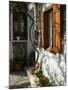 Building Detail, Lesvos, Mithymna, Northeastern Aegean Islands, Greece-Walter Bibikow-Mounted Photographic Print