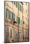 Building Facades in the Old Town of Siena, Tuscany, Italy, Europe-Julian Elliott-Mounted Photographic Print