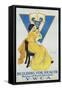 Building for Health, Y.W.C.A. Poster-Marie Danforth Page-Framed Stretched Canvas