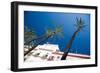 Building in Cadiz in Spain with Palm Trees-Felipe Rodriguez-Framed Photographic Print