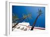 Building in Cadiz in Spain with Palm Trees-Felipe Rodriguez-Framed Photographic Print