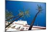 Building in Cadiz in Spain with Palm Trees-Felipe Rodriguez-Mounted Photographic Print