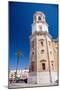 Building in Cadiz in Spain-Felipe Rodriguez-Mounted Photographic Print