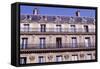 Building on Avenue De L'Opera, Paris, Ile-De-France, Detail, France-null-Framed Stretched Canvas