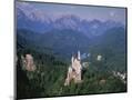 Wood Mount