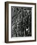 Building Reflection, c. 1975-Brett Weston-Framed Photographic Print